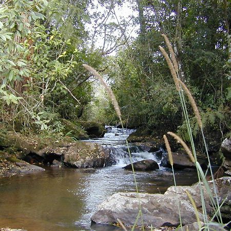 Casa De Campo Rustica Em Fazenda Usina بوكاينا دي ميناس المظهر الخارجي الصورة