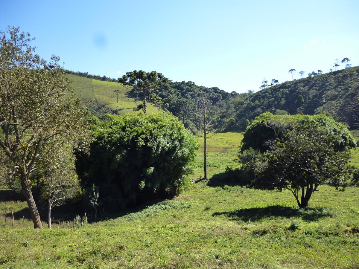Casa De Campo Rustica Em Fazenda Usina بوكاينا دي ميناس المظهر الخارجي الصورة