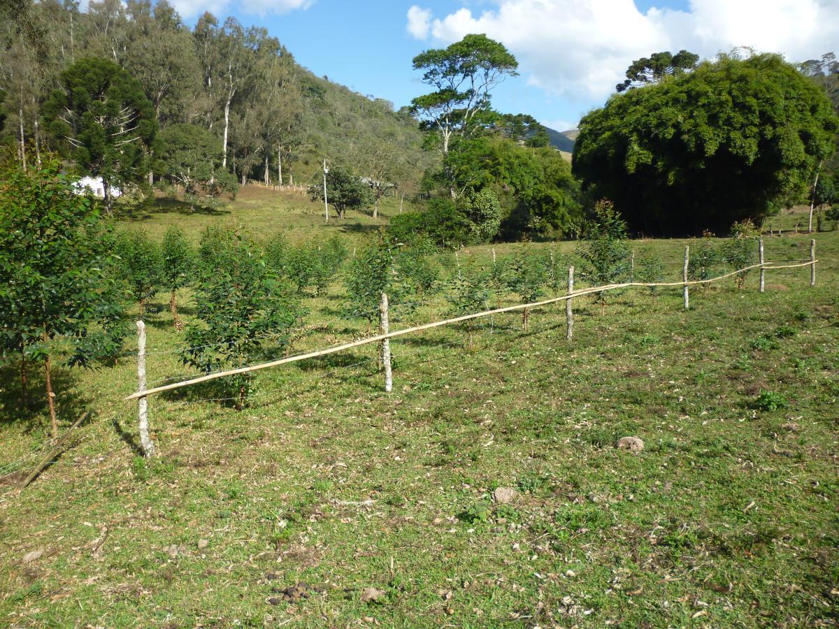 Casa De Campo Rustica Em Fazenda Usina بوكاينا دي ميناس المظهر الخارجي الصورة