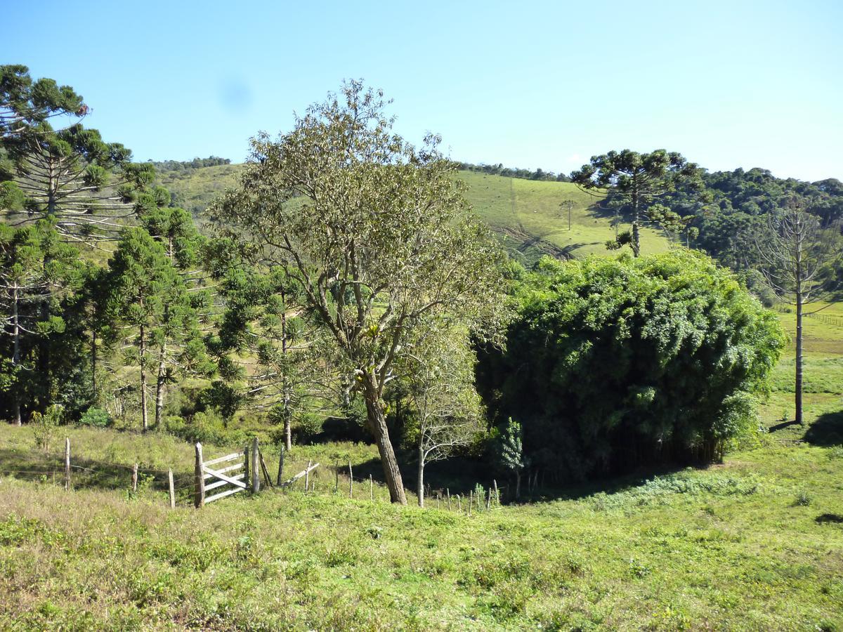 Casa De Campo Rustica Em Fazenda Usina بوكاينا دي ميناس المظهر الخارجي الصورة